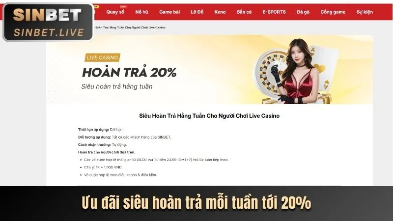 Hoàn trả hàng ngày cho người chơi slot